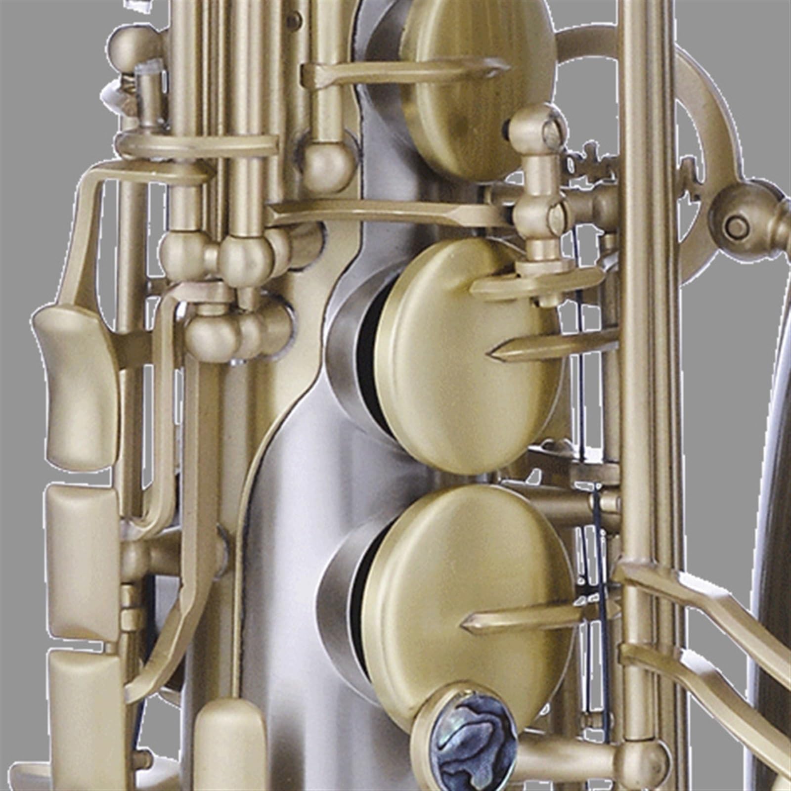Saxofón Alto En Mi Bemol Para Principiantes En Instrumentos De Viento. Examen De Interpretación Y Calificación Profesional