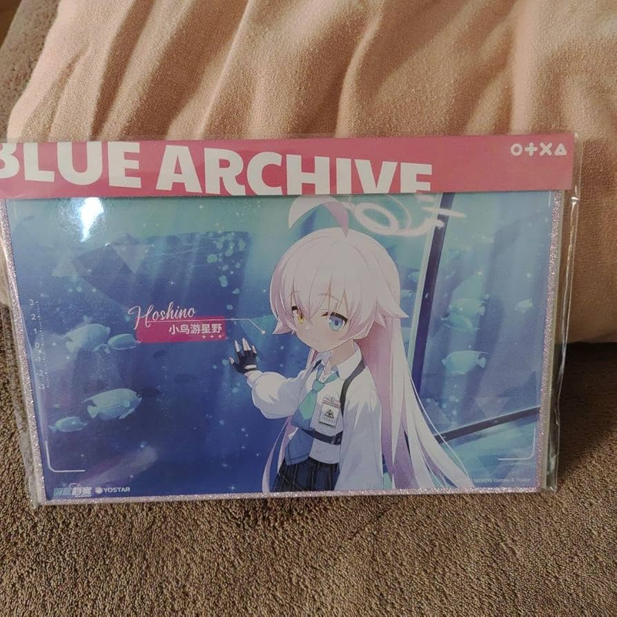 ブルーアーカイブ　小鳥遊ホシノ　色紙 Amazon.co.jp: ブルアカ ブルアカ 小鳥遊ホシノ 色紙 海外限定
