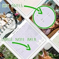 Vista 93 de Razas de Perros 2017