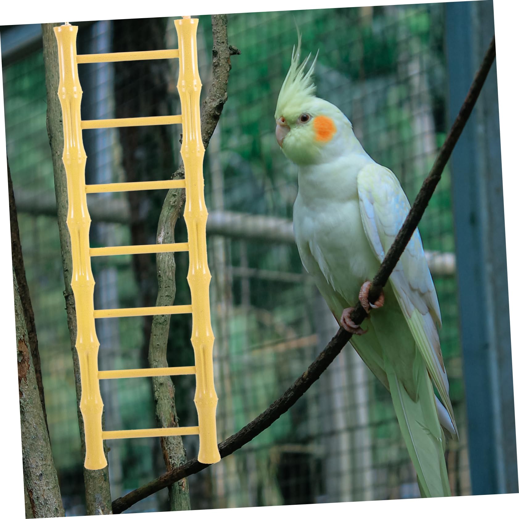 Yardwe Pet Climbing Ladder Toy for Parakeets Budgies Safe Plastic Bird Ladder