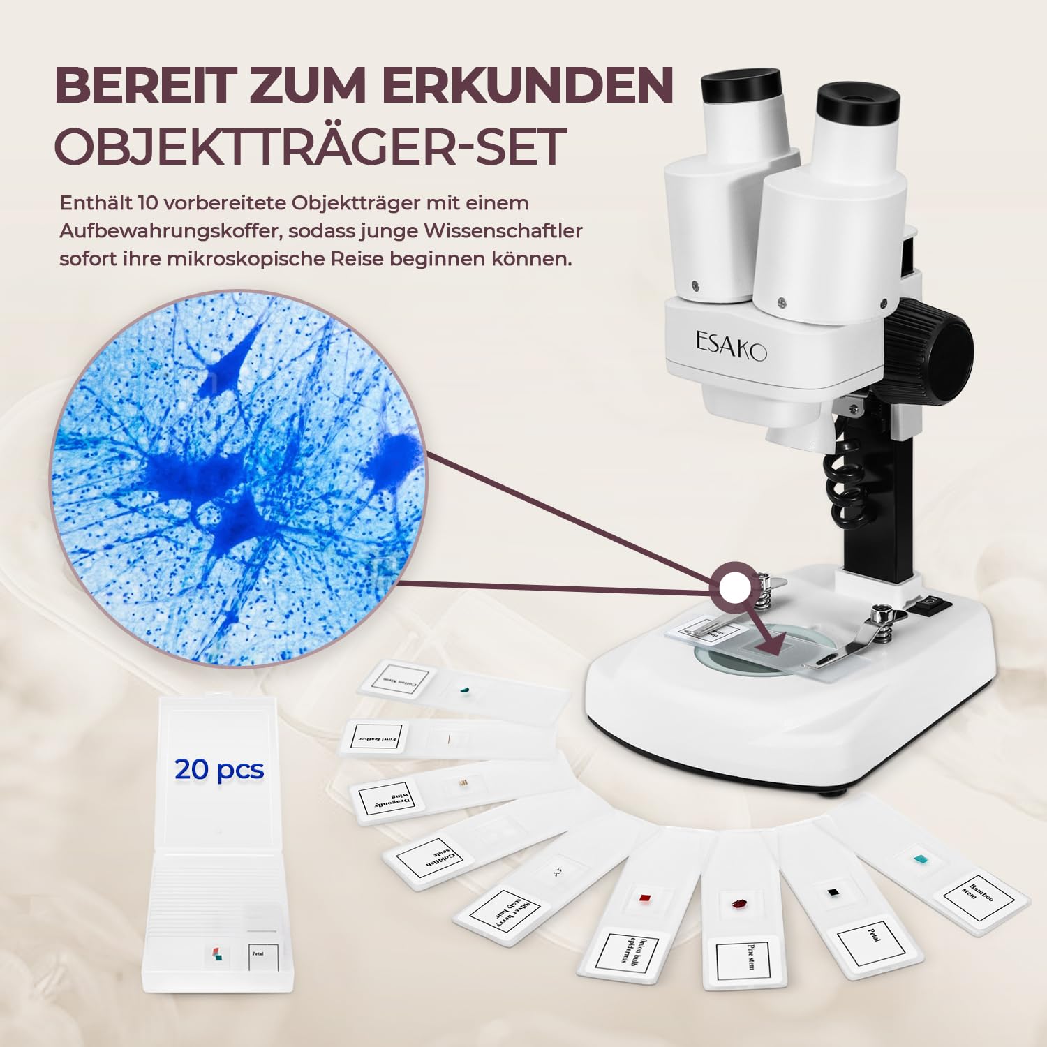 Dual-LED-Kindermikroskop - Wissenschaftsset mit 10 vorbereiteten Objektträgern und 10 leeren DIY-Objektträgern, Mineral- und Insektenproben, Mikroskop-Set für Kinder