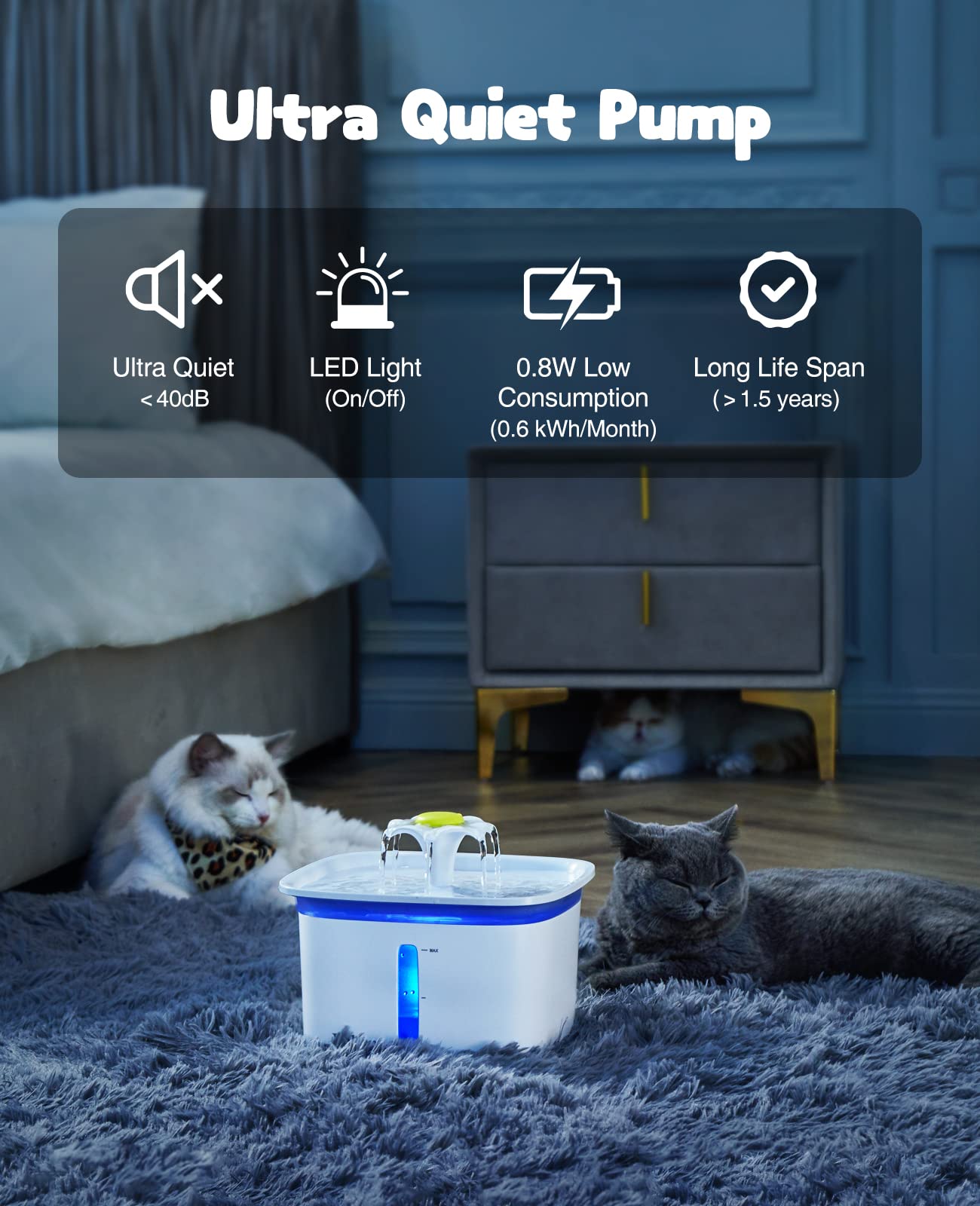 https://m.media-amazon.com/images/I/71rUg4uXDFL.jpg