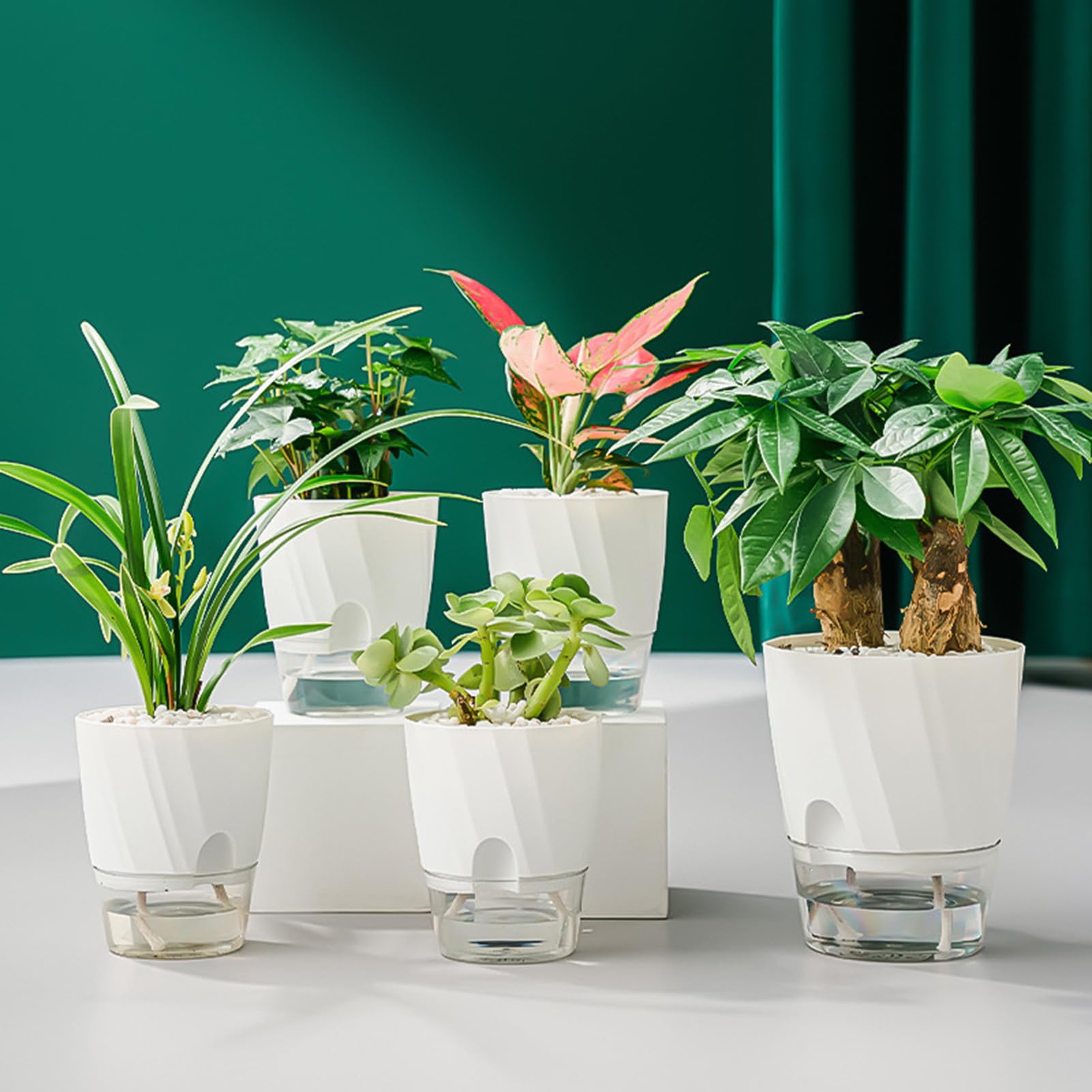 Lot de 3 pots à arrosage automatique avec trou de drainage - Réservoir transparent - Pour intérieur et extérieur - Avec soucoupe - Avec corde de mèche
