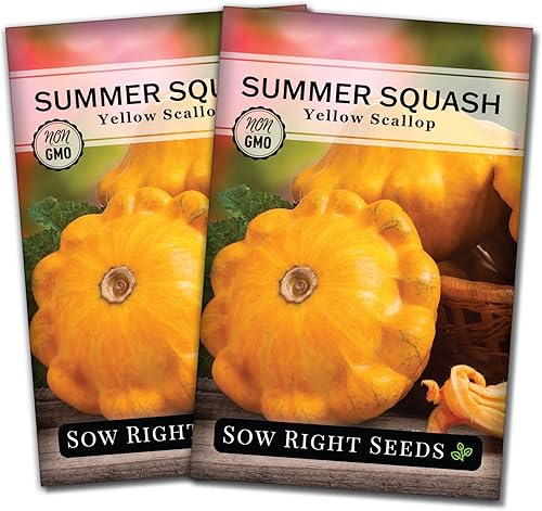 Sow Right Seeds - Semilla de calabaza vieira amarilla para plantar - Paquete de reliquia sin OMG con instrucciones para plantar un huerto casero,