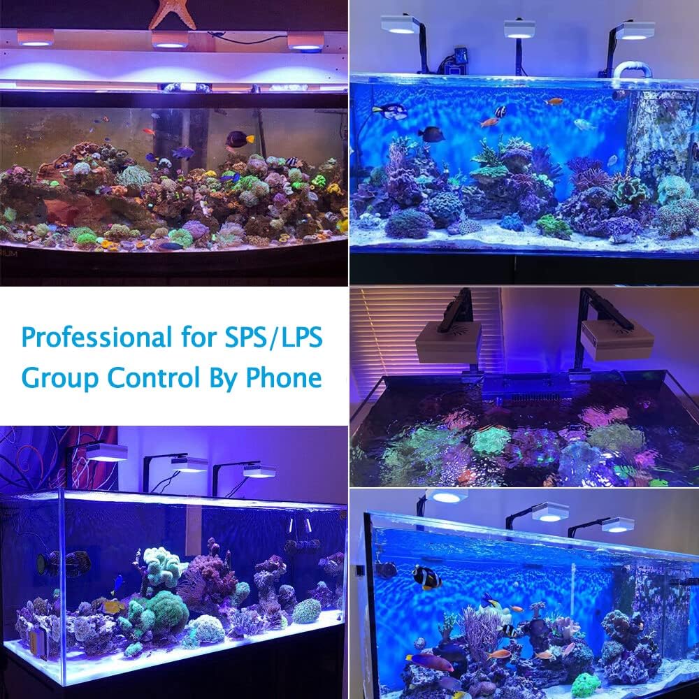 PopBloom RL90 WiFi Meerwasser LED 100W, Salzwasser LED Beleuchtung für Reef Coral Fish Wasserpflanzen Salzwasser Aquarium,APP unterstützt Deutsch (1 WiFi Lampe mit Aufhängung)