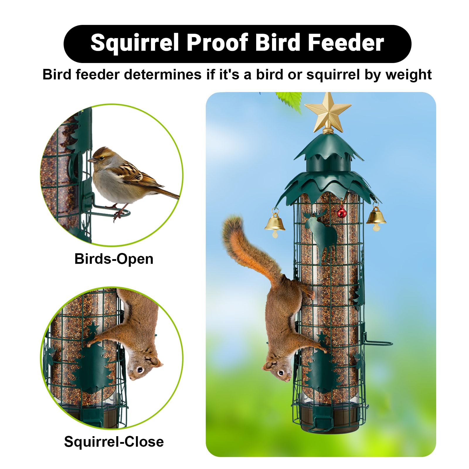 Snapklik.com : Squirrel Proof Bird Feeders For Outdoors Anti Squirrel