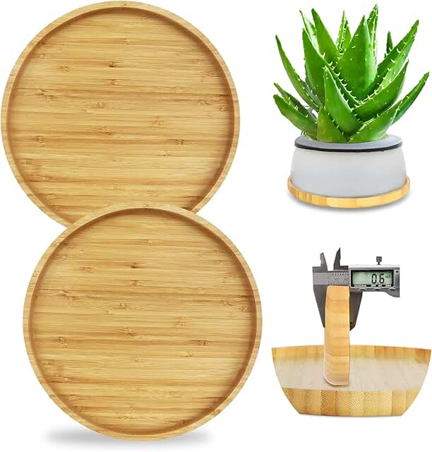 plant pot plate