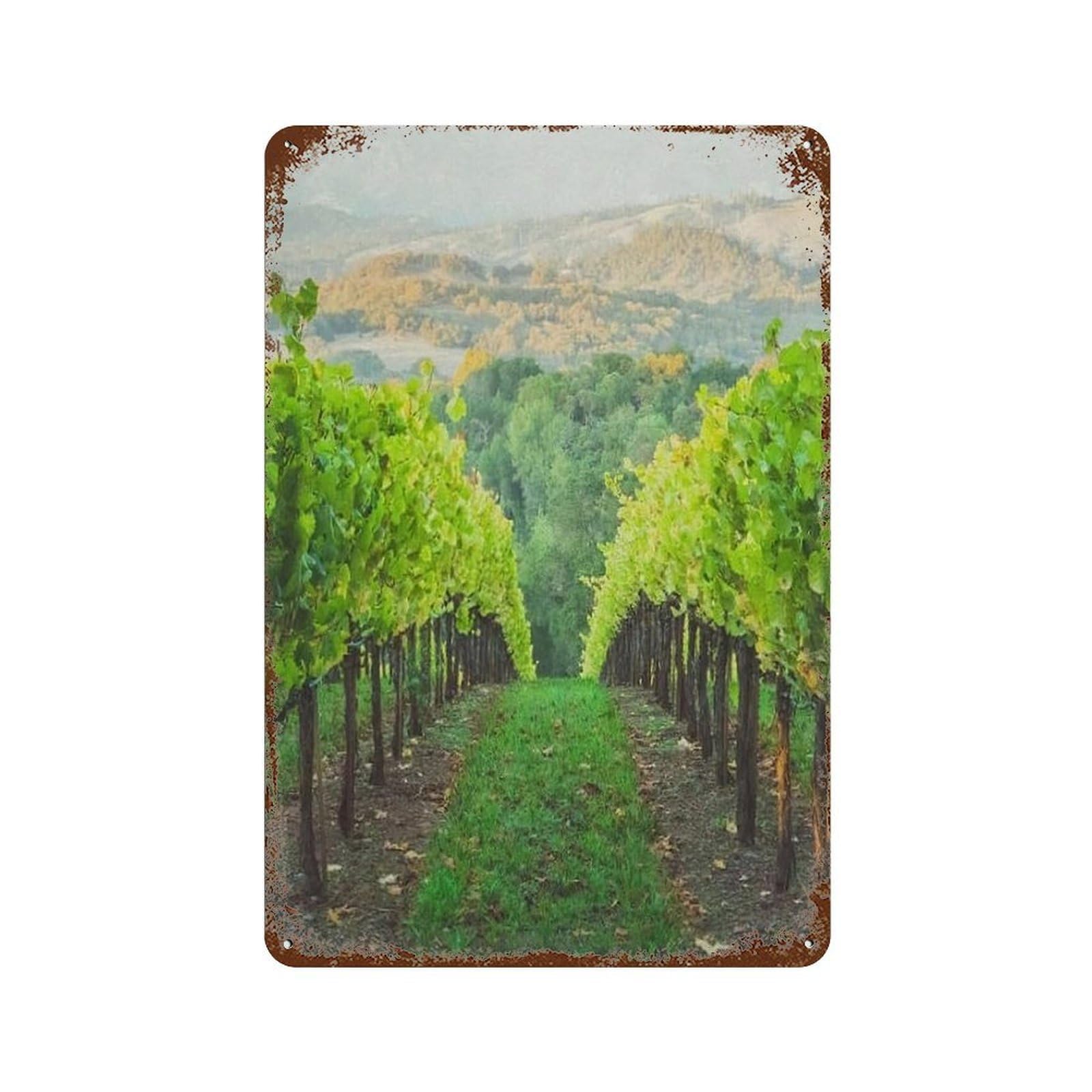 xiaoxiaoshen Healdsburg Wall Decor Art Metal Tin Poster Modern Home Decor Art Home Bar Shop Decorations Vintage Sign 30x20cm