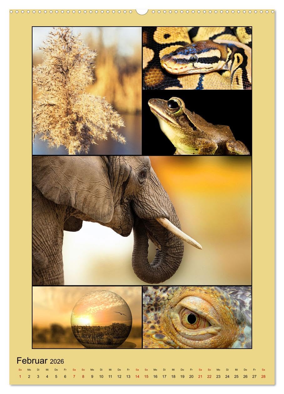 Farbsymphonien der Natur (hochwertiger Premium Wandkalender 2026 DIN A2 hoch), Kunstdruck in Hochglanz: Stimmungsvolle Collagen in faszinierenden unterschiedlichen Farbkombinationen (CALVENDO Natur)