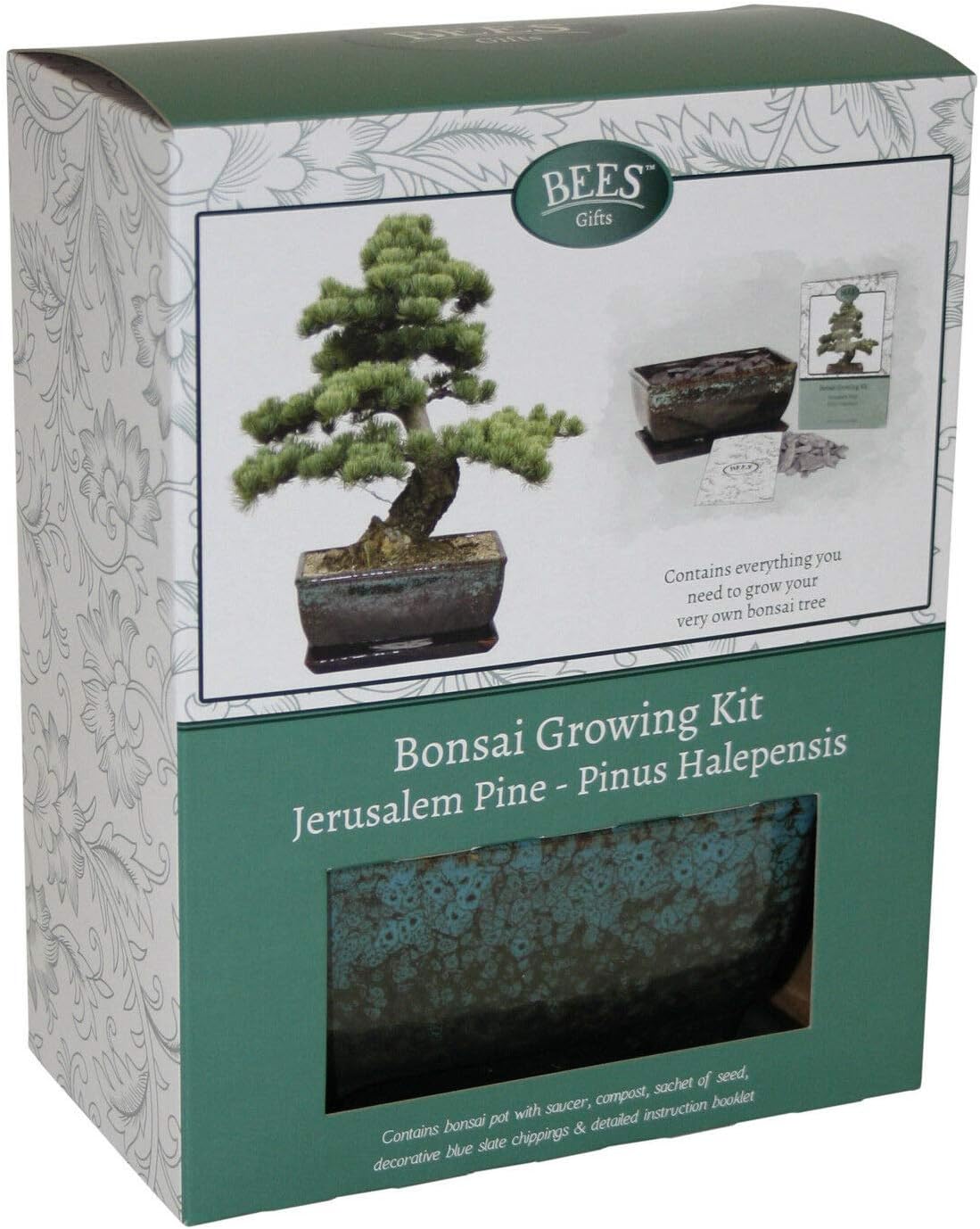Bonsai Tree Grow Your Own Kit Gift Set Pine Traditional Glazed Pot