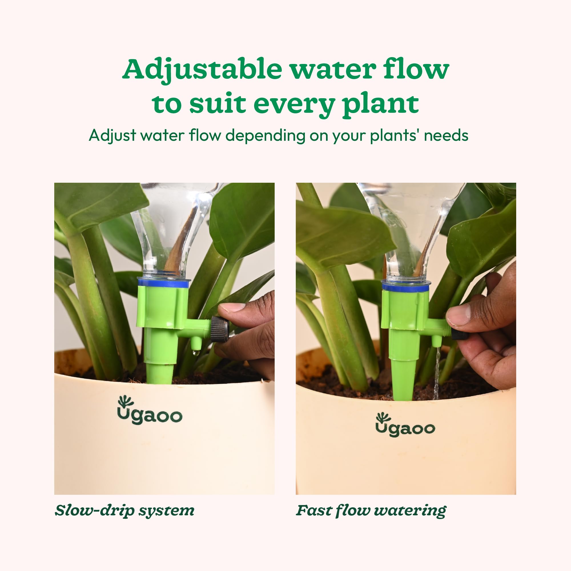 Ugaoo Self Watering Spikes – Pack of 12 | Leakproof One-Piece Design | Auto Irrigation System for Indoor & Outdoor Plants - Image 5 thumbnail