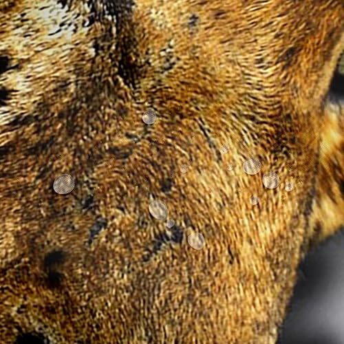 Miniatura 4 de Juego de cortinas de ducha de tela con estampado de leopardo, estampado de guepardo, cortina de baño con estampado de leopardo, cortina de baño con