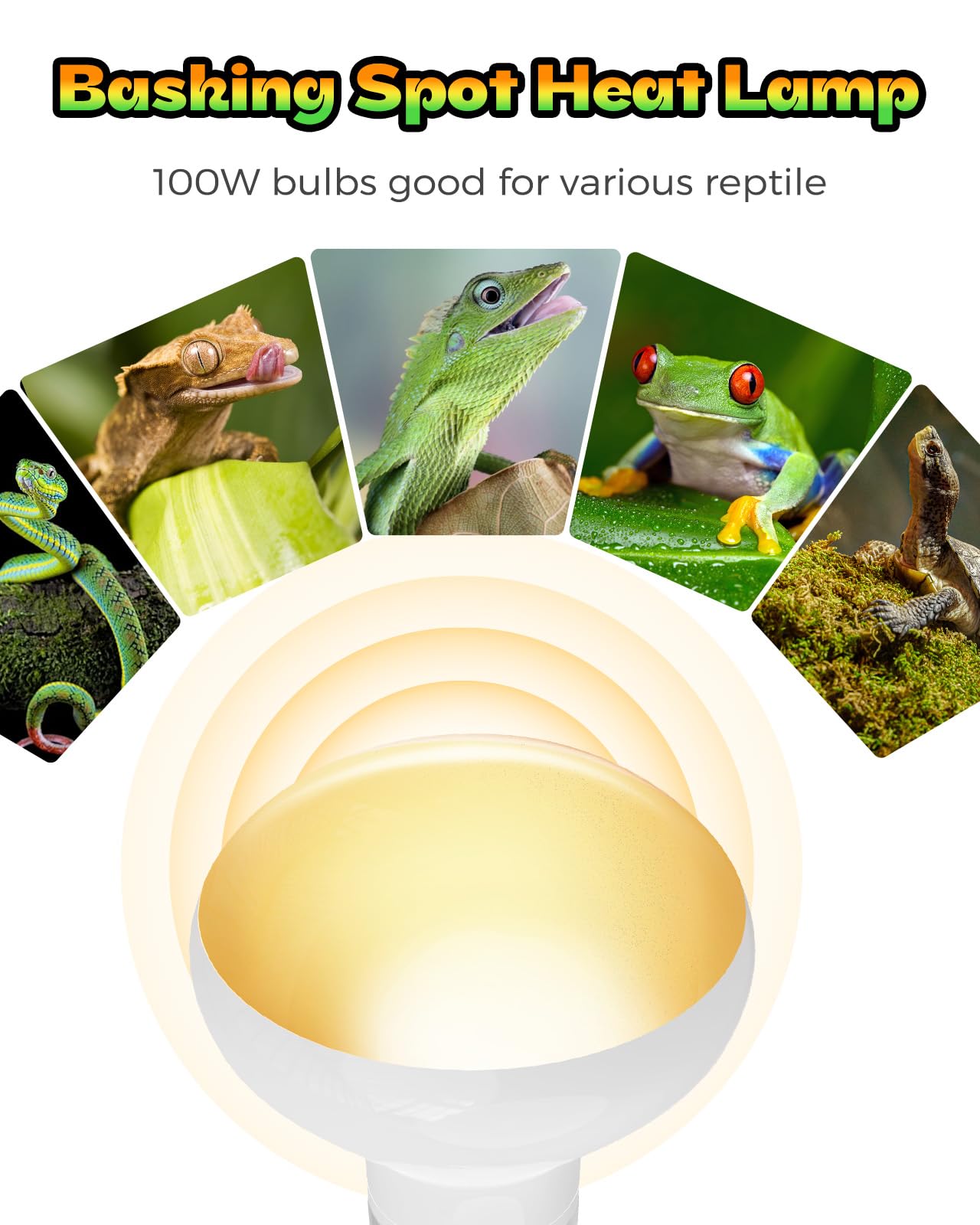 Reptile Heat Lamp 2 Pack, Simulate Natural Sunlight Heat Light Bulbs Amphibians Basking Heat Lamp Bulbs for Reptiles, Bearded Dragon, Lizard, Turtle, Chicken 100W - 4