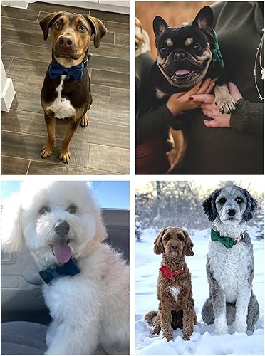 Miniatura 3 de ARING PET Collar de perro Bowtie de terciopelo con corbata de moño extraíble, lindo y cómodo collar para perro, talla XS (paquete de 1)