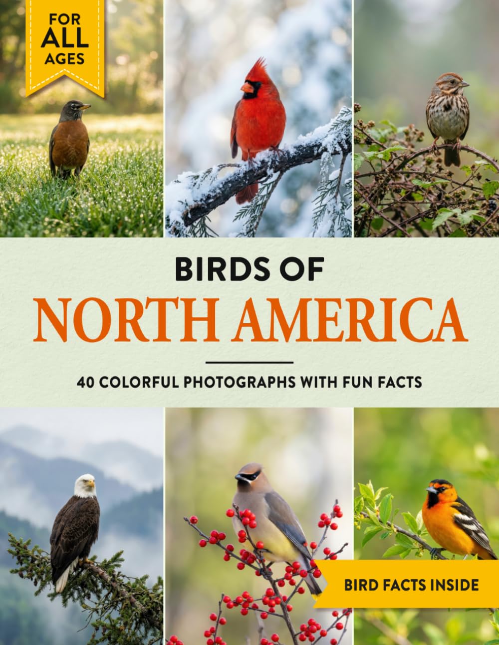 Birds of North America: A Birdwatching Picture Book with Fun Facts and Photography for Kids, Adults & Birders