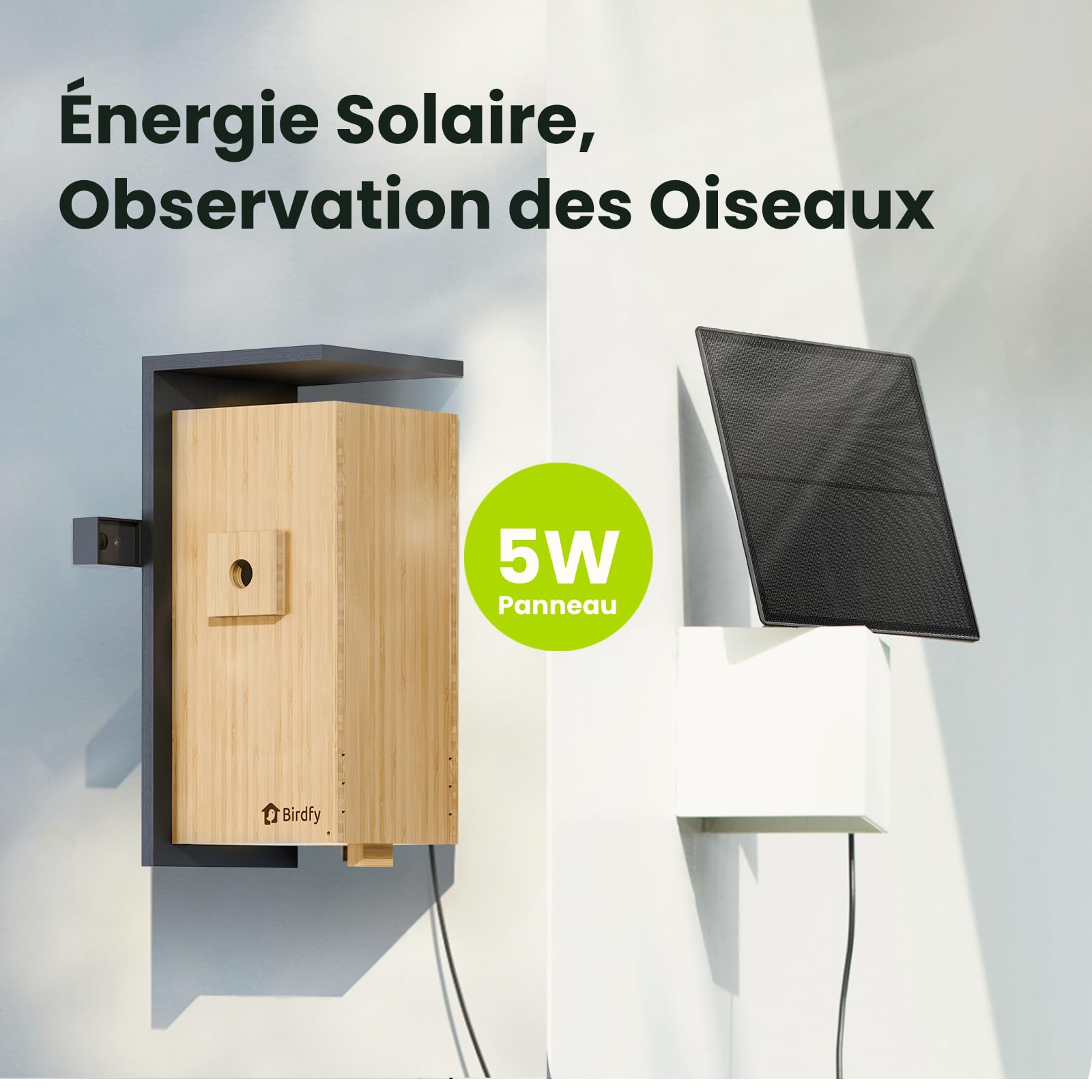 Birdfy Nichoir Oiseaux avec Double Camera pour l'observation en Direct, 1080P Bambou Nichoir Mesange avec Vision Nocturne, Analyse du Comportement par IA avec Alertes et Enregistrements Automatiques