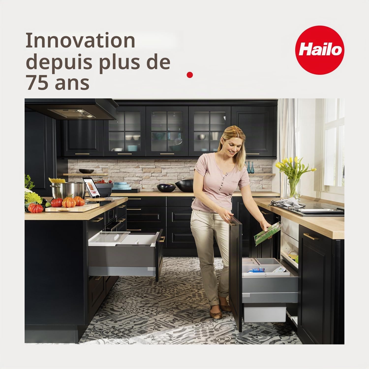 Hailo Poubelle 3666911 - Single Box 28 l - Pour armoires inférieures à partir de 40 cm - Extension télescopique à la main - Anthracite (1 x 28 l)