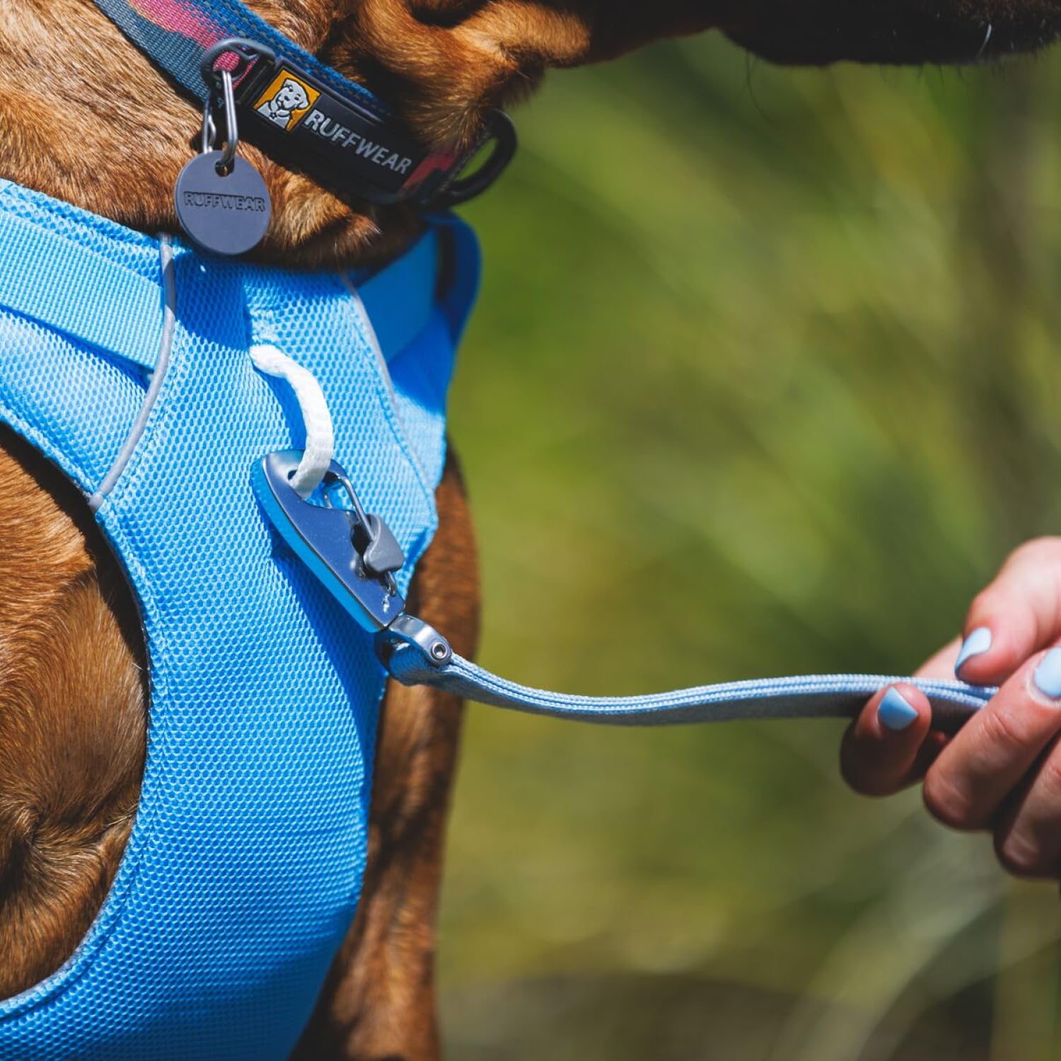 Amazon | RUFFWEAR(ラフウェア) スワンプクーラードッグハーネス