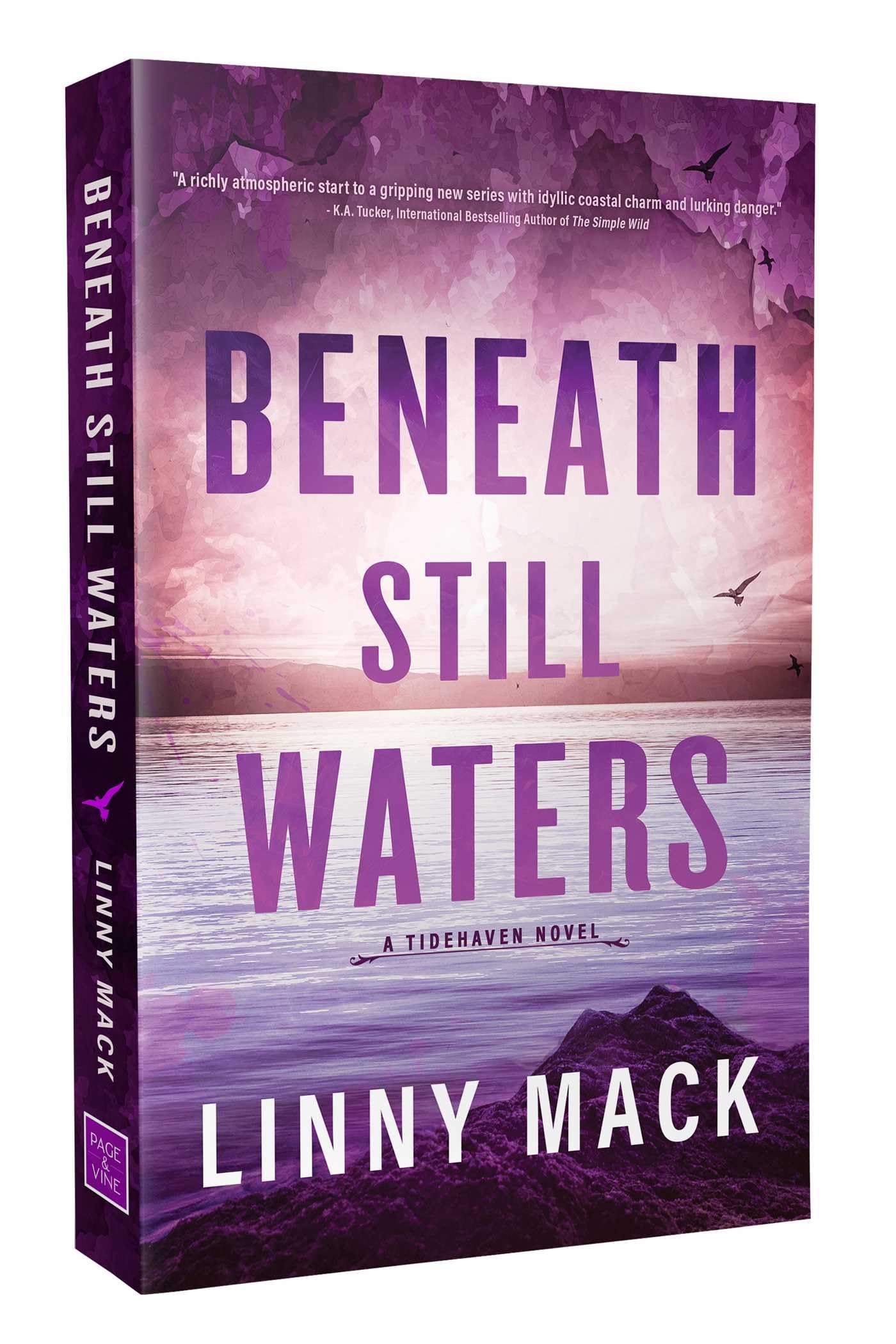 Beneath Still Waters (Volume 1)
