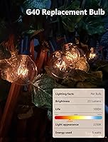 Vista 4 de Abeja Bombillas de repuesto G40, bombilla de globo transparente de 5 W que se adapta a enchufes de base de tornillo de candelabro E12/C7, bombillas