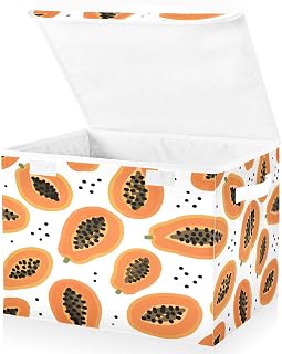 Storage Bins with Lids Papaya Pattern Prints with Seeds Foldable Storage Boxes with Handles Large Storage Basket Collapsible Organizer Containers for Closet Home Bedroom Office