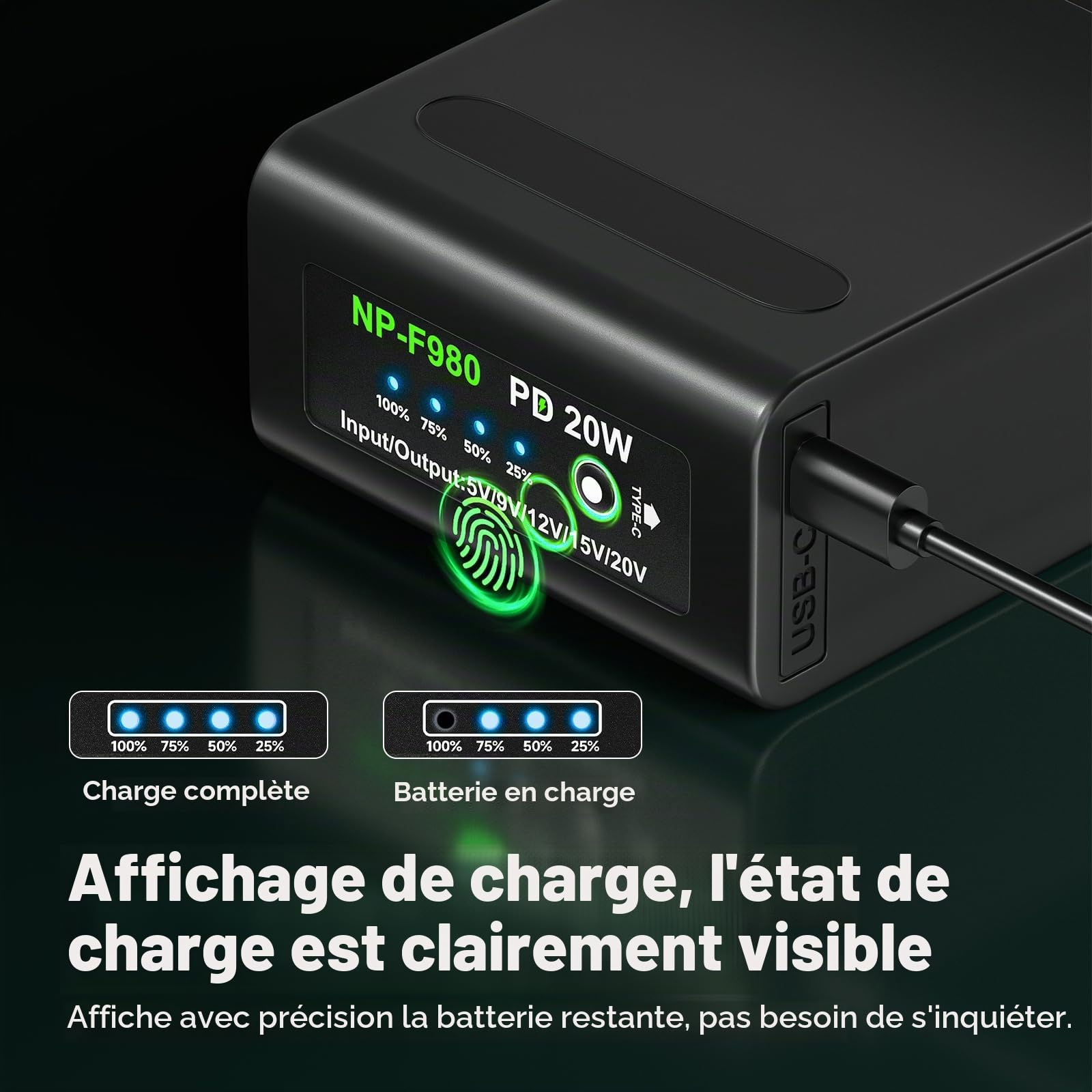 CITYORK 2 X 10800mAh NP-F980 Batterie, pour Sony NP-F980 F970 F975 F960 F930 F770 F750 F730 F570 F550 F530 F330 Toutes Les Battery NP-F, pour caméscopes Sony, Lampes vidéo LED[PD 20W/ USB Type C]