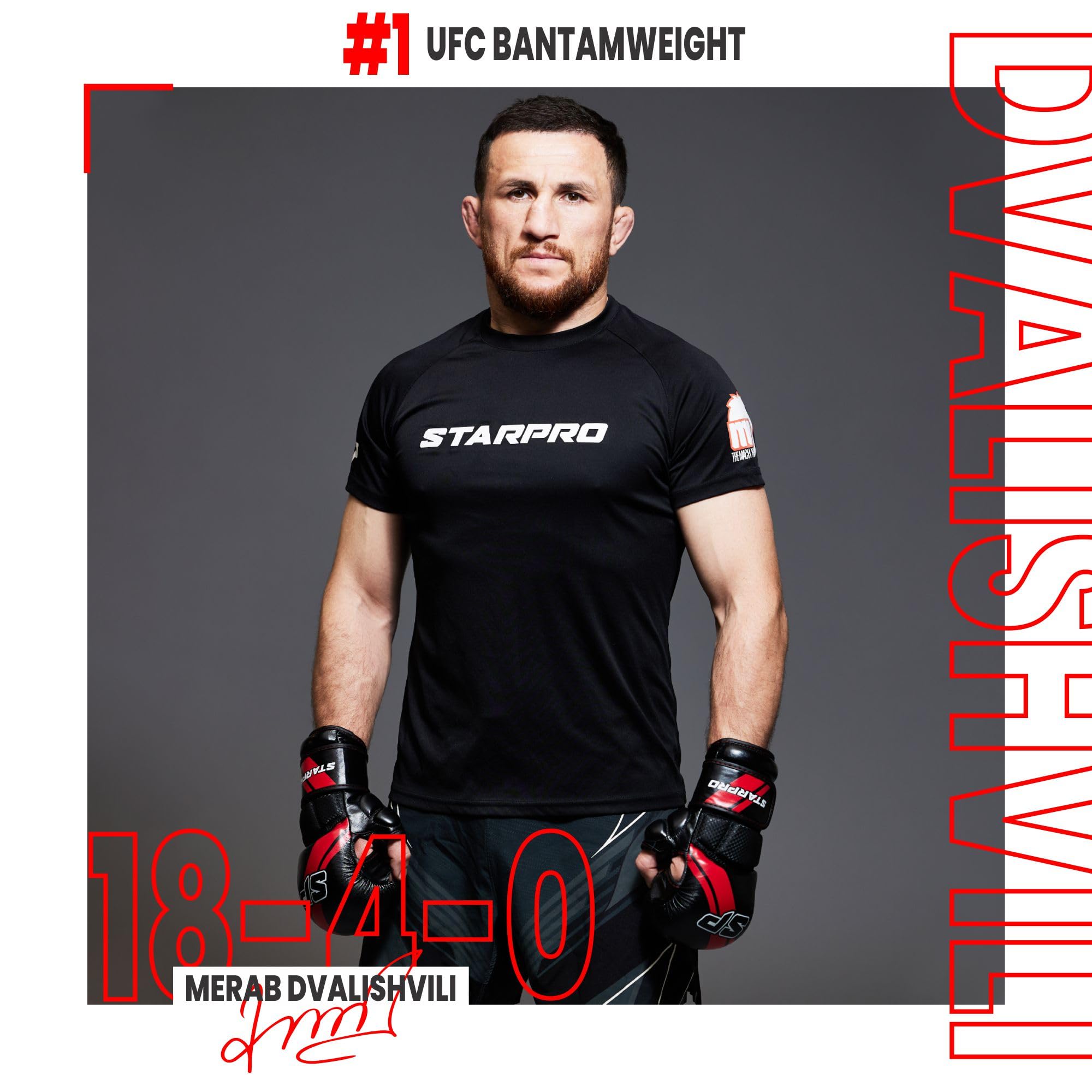 Starpro MMA Guanti da combattimento | Pelle PU | Bianco e nero | Per lo sparring e il grappling nell'allenamento di combattimento Muay Thai Marital Arts MMA Kickboxing fitness | Uomini e donne