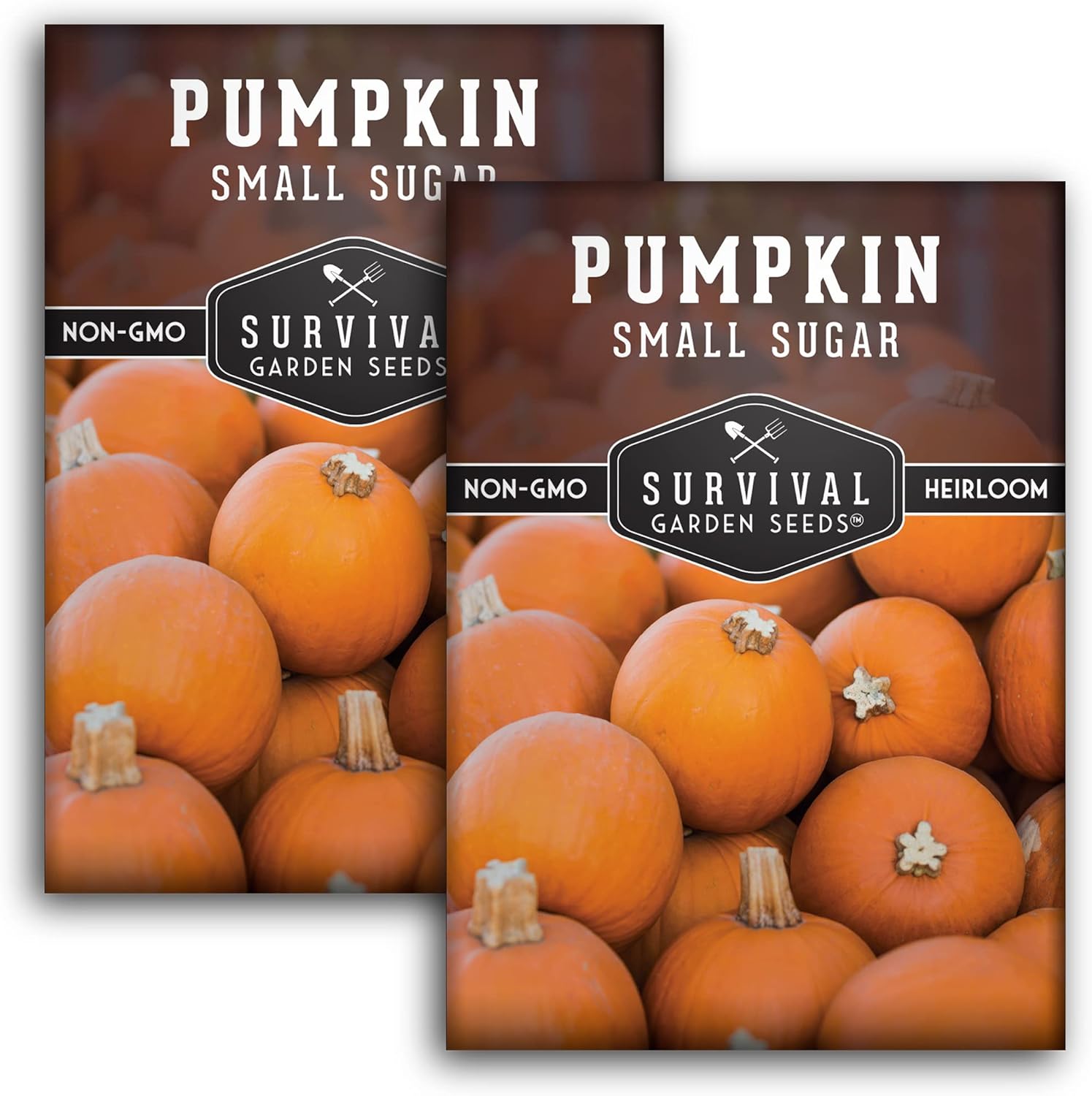 Survival Garden Seeds Small Sugar Pumpkin Seed for