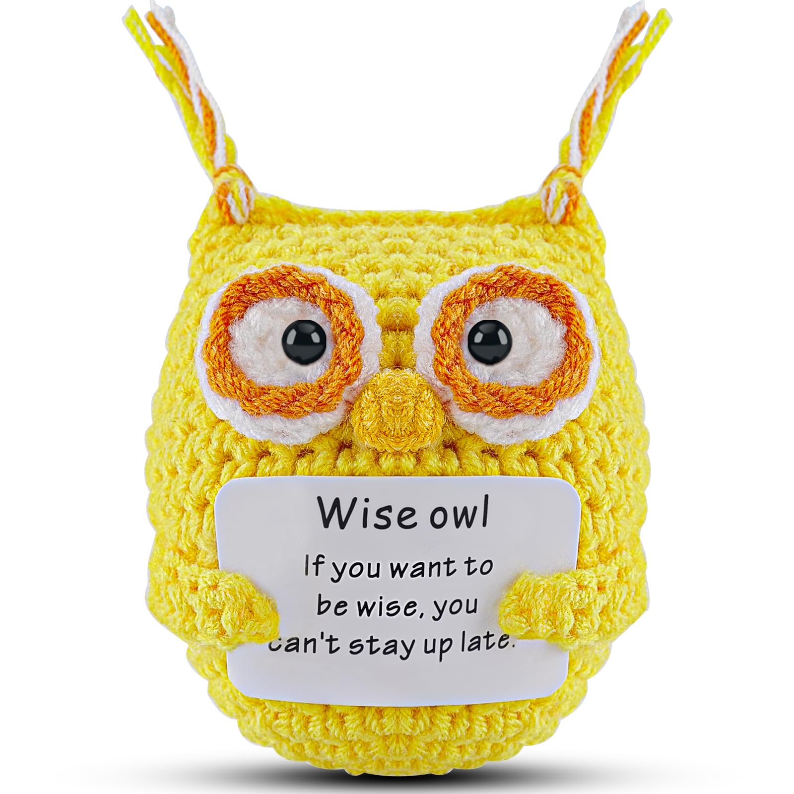 Hoedia Handmade Emotional Pickle Gift, Emotional Cucumber Crochet Doll Inspirational Gifts with Cards, Cute Knitted Funny Support Pickle Friend Birthday (Wise Owl)