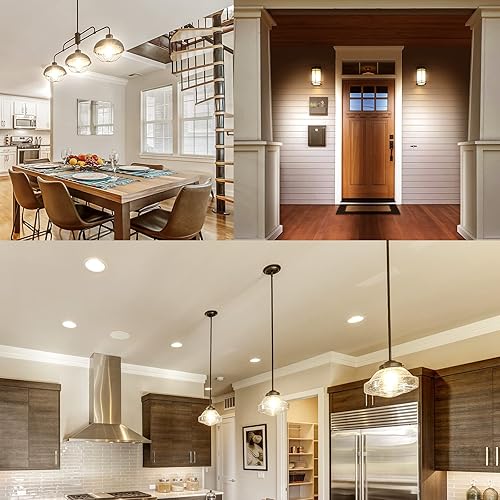 Miniatura 6 de LUXRITE Bombillas LED vintage A19 equivalentes a 100 W, 1600 lúmenes, blanco suave de 3000 K, bombillas Edison regulables, 12 W, clasificación