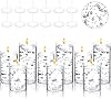 Hoolerry 9 Set Glass Cylinder Vases for Centerpieces, Multiple Size Clear Hurricane Candleholder with Floating Candles Artificial Pearl String for Wedding Table Decor4,4.7, 6,Silver