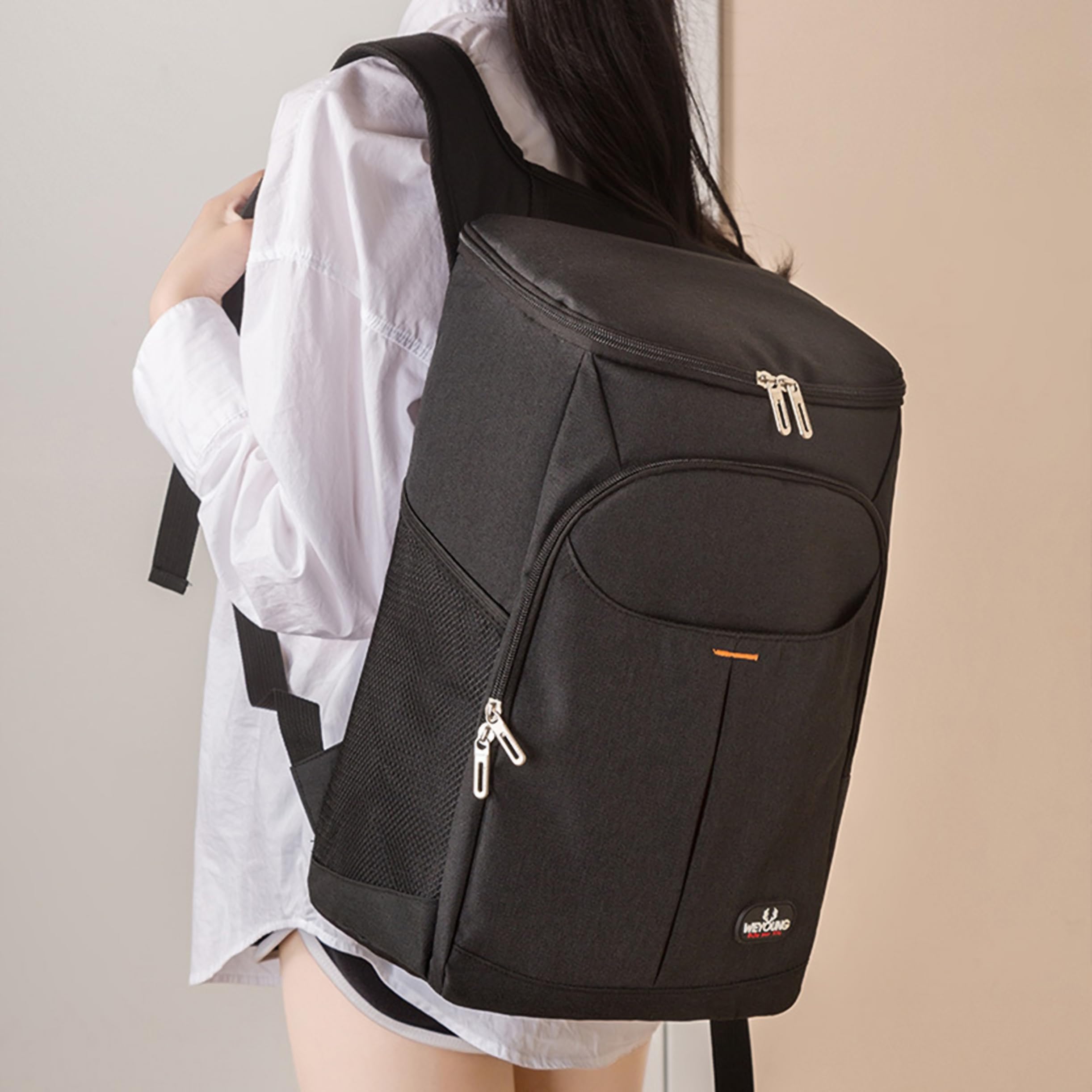 Zaino Termico Frigo 25L Borsa Isoterma Porta Pranzo per Picnic Escursionismo Campeggio