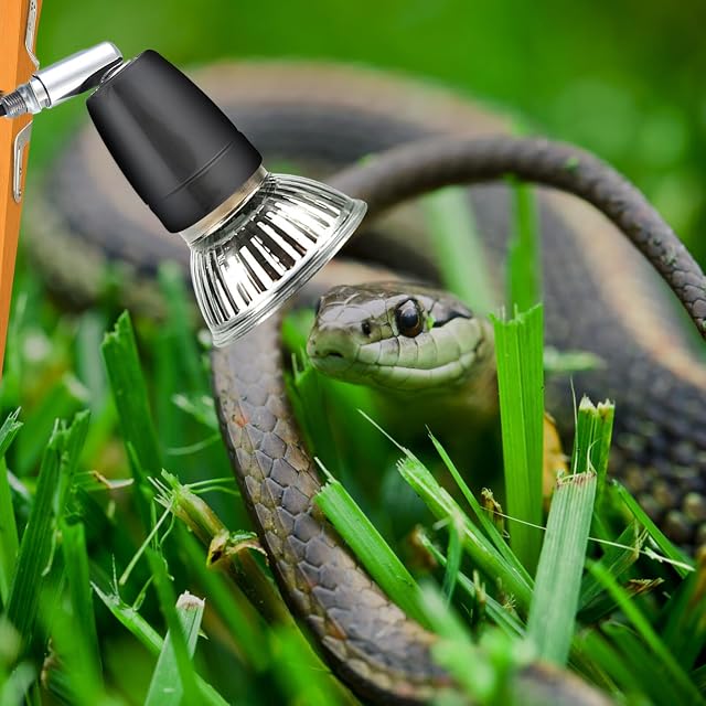 Foto 7 de 7 de Portalámparas de Calefacción E27 de Cerámica Con Cable - Lámpara de Calor para Reptil y Acuario