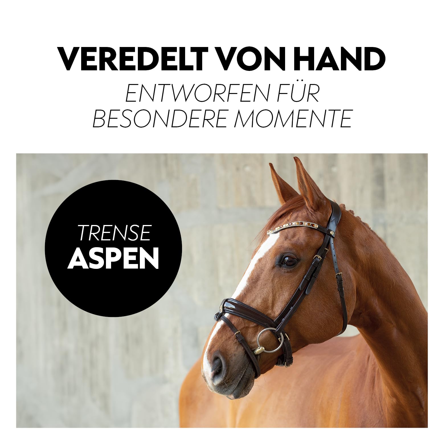 SUNRIDE schwedische Trense für Pferde (Aspen) - mit Zügeln - weiches Echtleder - extra Polsterung - anatomisch, verstellbar - Lack am Nasenriemen - handgefertigt - rostfrei - braun (Full)