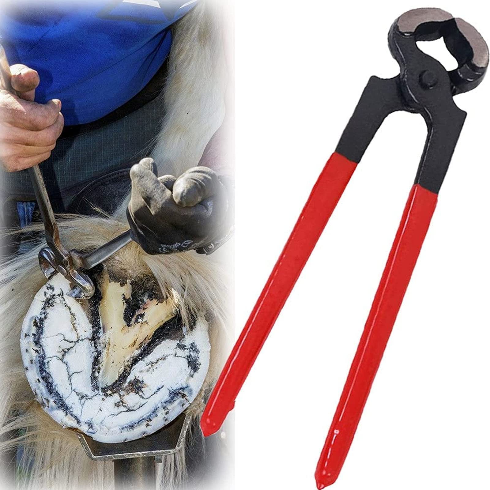 14'' Tronchesino per Zoccoli da Maniscalco per Cavalli, Kit di Utensili per Pinze A Ferro di Cavallo con Materiale in Acciaio al Carbonio, Impugnatura in Gomma Antiscivol,