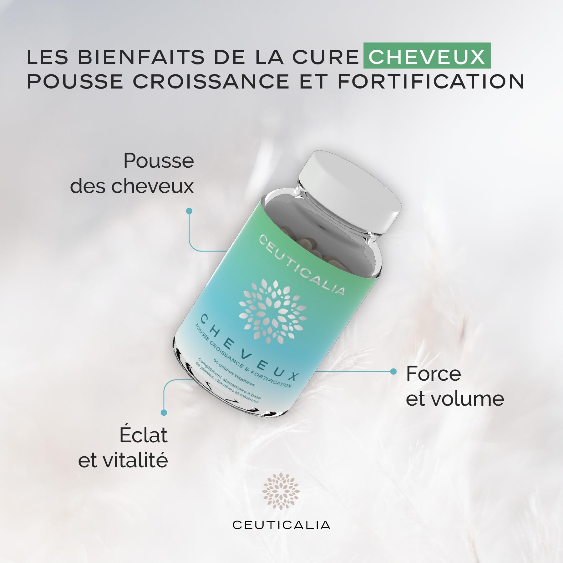 Complément Alimentaire Cheveux - Pousse, Anti Chute, Repousse, Croissance, Brillance, Fortification - Homme, Femme - Biotine, Vitamines, Zinc, Roquette, Myrtille, Prêle - 180 Gélules, 90 Jours