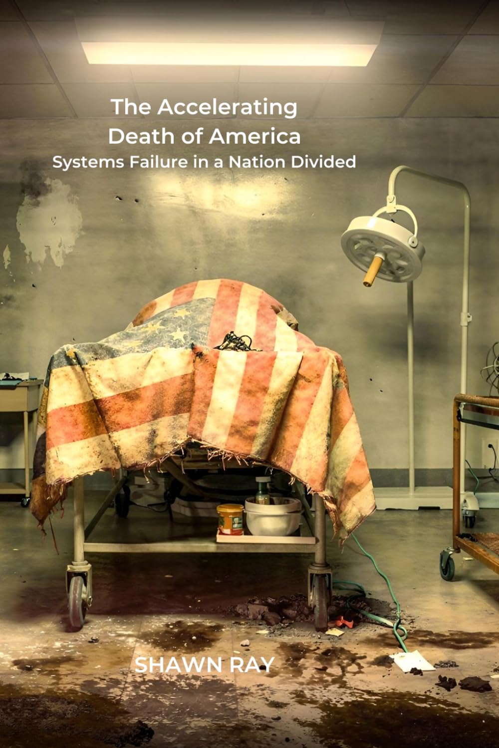 THE ACCELERATING DEATH OF AMERICA: Systems Failure in a Nation Divided: 2