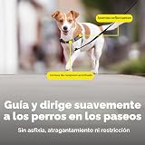 Ver la foto 5