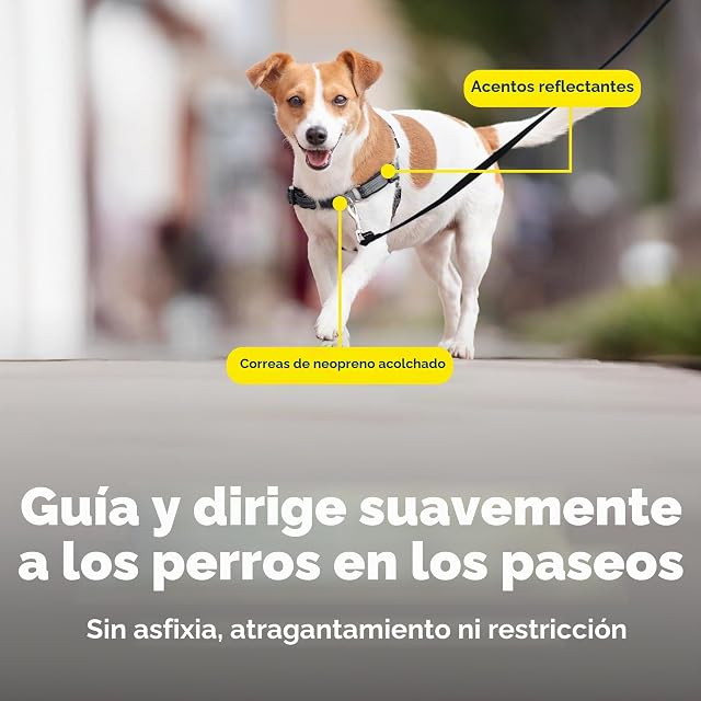 Foto 5 de 8 de PetSafe Easy Walk - Arnés de Lujo para Perro, sin tirones, Entrenamiento con Correa y arnés, Evita…