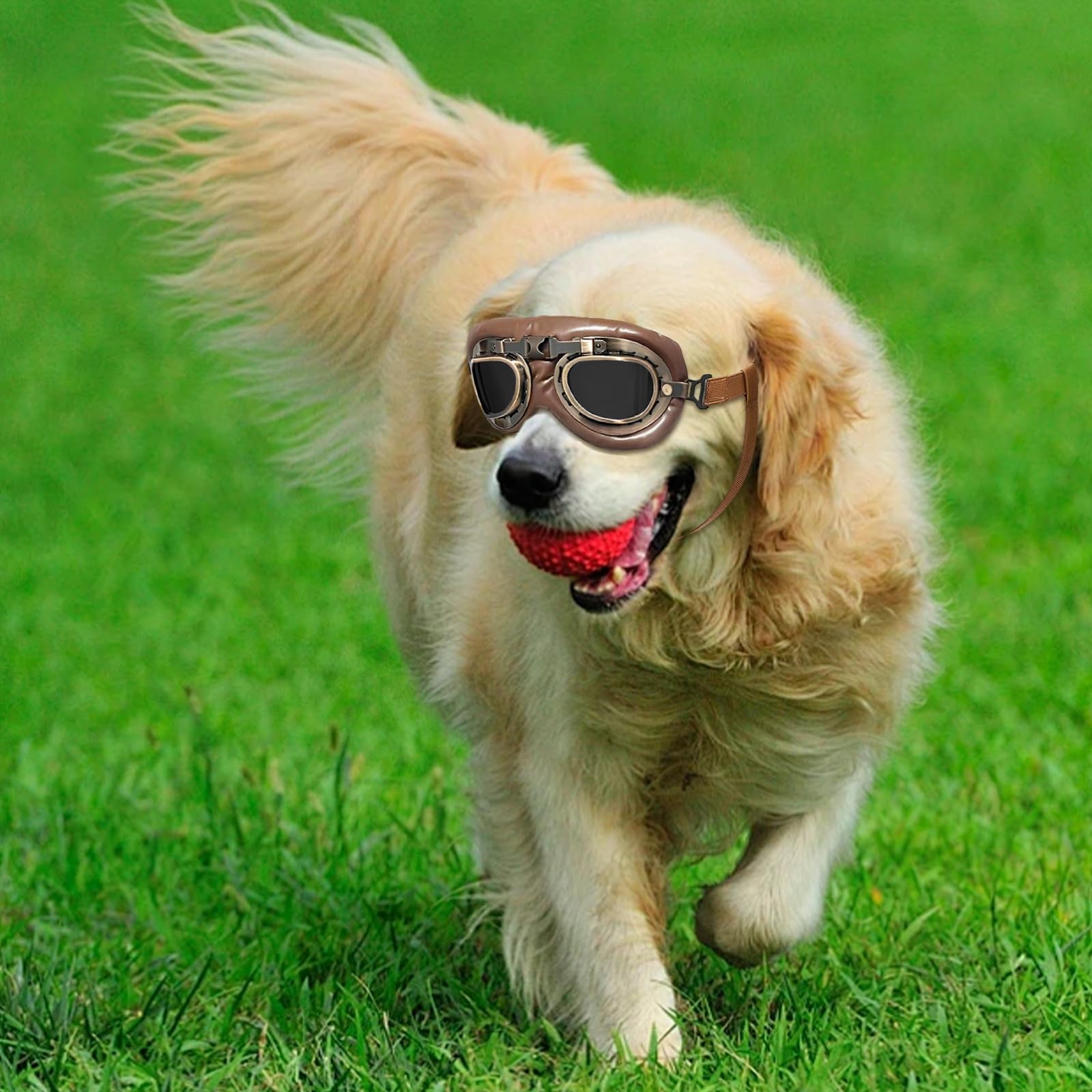 Occhiali da Sole per Cani, Retrò Occhiali Cane, Protezione UV Occhialis da Sole Cane, Fascia Elastica Regolabile, Pieghevole Pet Dog Occhialis Protezione, Adatto a Cani di Taglia Media e Grande