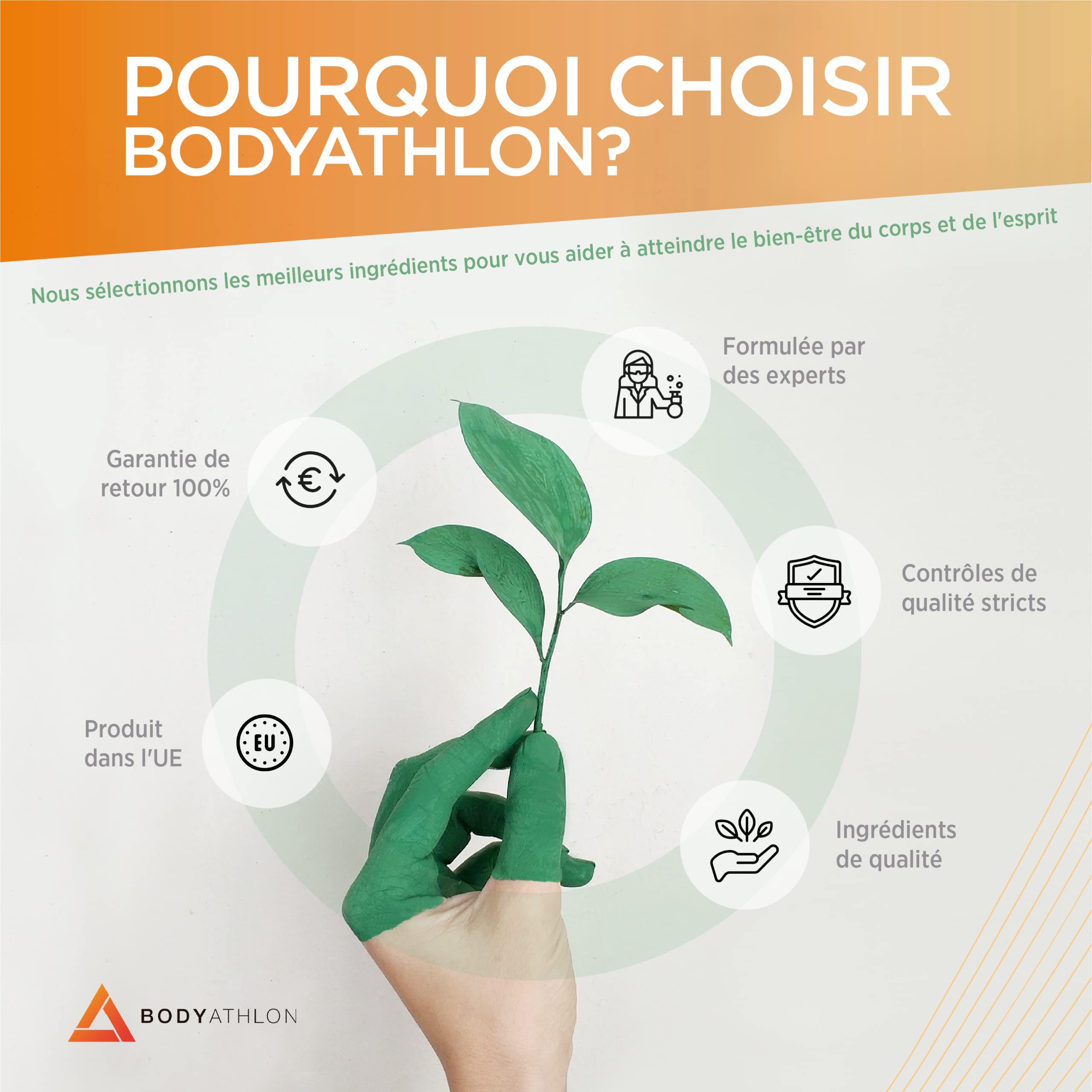 Creatine Monohydrate Creapure 240 comprimés| 100% Creatine Monohydrate 3000mg par dose| Pre workout Force et Résistance| Certifiée et Testé en Laboratoire| Sans OGM, Vegan| BODYATHLON