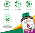 Jamieson Vitamin B Complex, 90 Chewable Tablets, Natural Berry Flavour. Naturally Energizing, Supports Metabolism, Provides Folate. Vegetarian, No Artificial Flavours, Colours or Preservatives