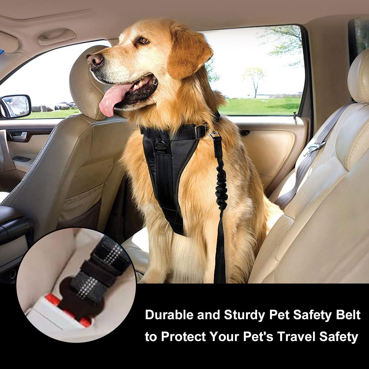 Ceinture Sécurité Chien Voiture Blanlody - Longueur Réglable 26-85cm - Nylon Indéchirable - Noir
