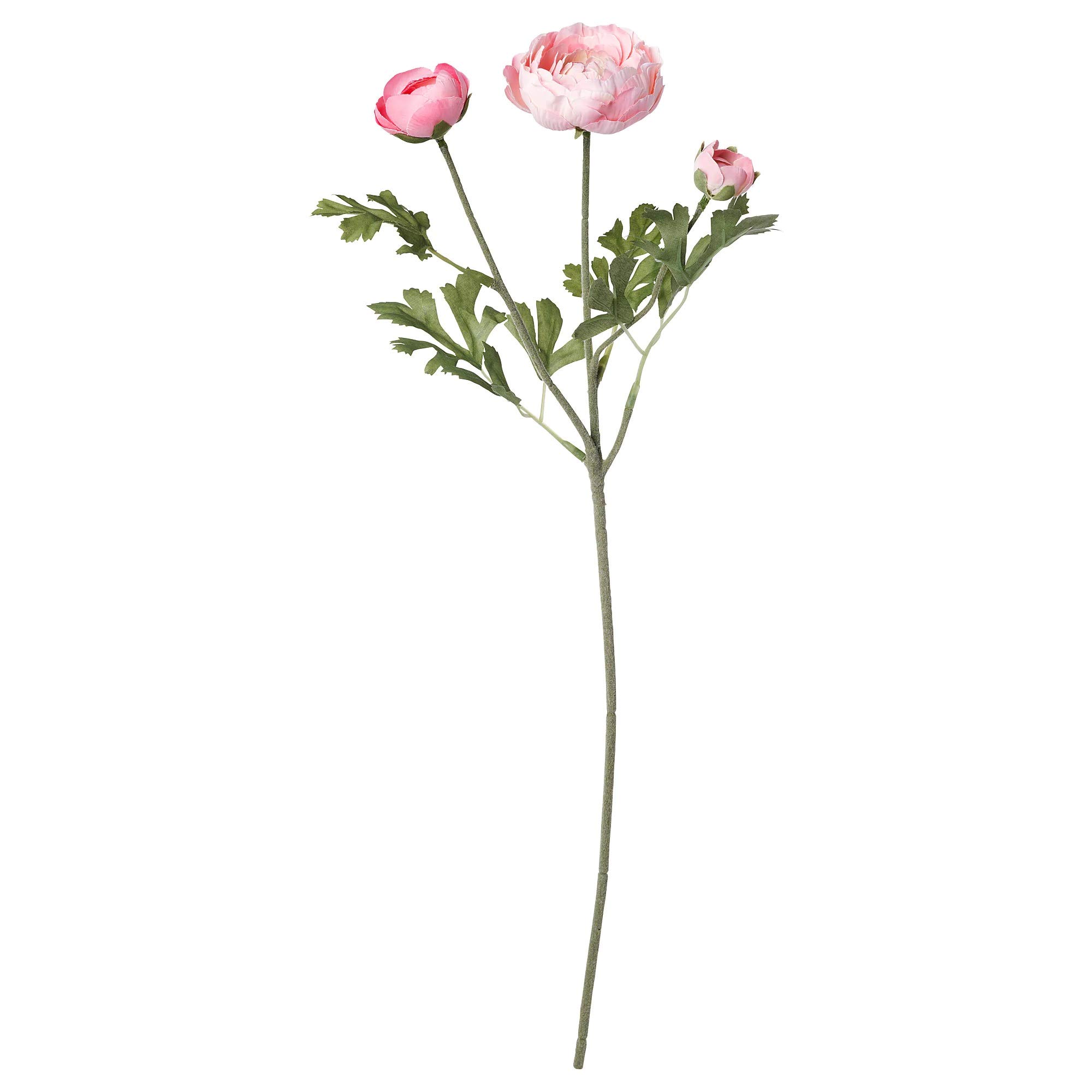 Ikea TSSP Artificial Flower, Ranunculus/pink52 cm (20 ½ ")-image-47