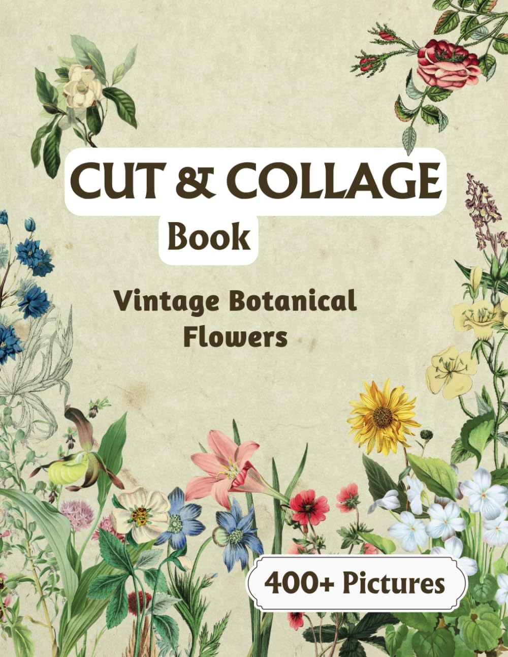 Livre cut and collage botanical flowers pour réussir vos projets créatifs vintage