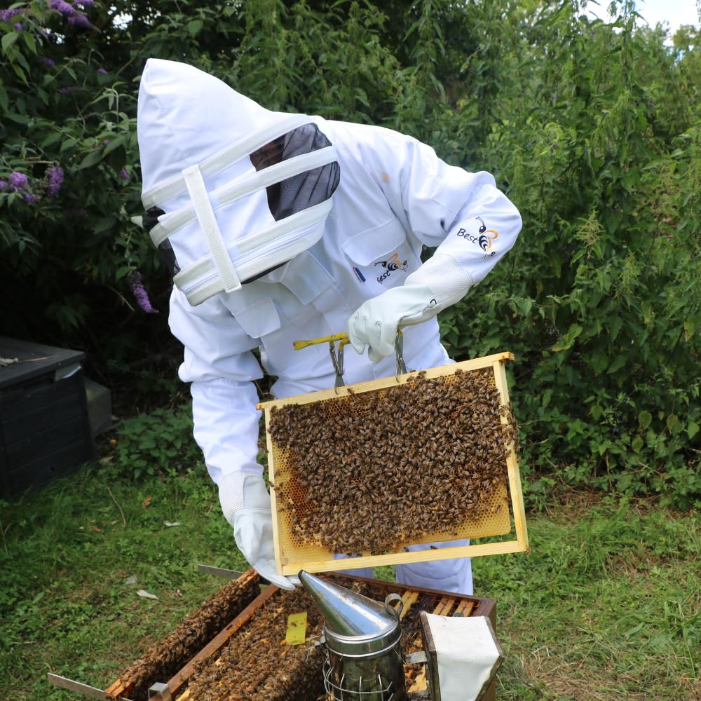 Best Bee Apicultor de tela gruesa y algodón de alta calidad, cremallera resistente, capucha extraíble, bolsillos para herramientas, traje de apicultura antiavispas y abejas SG (XXL)