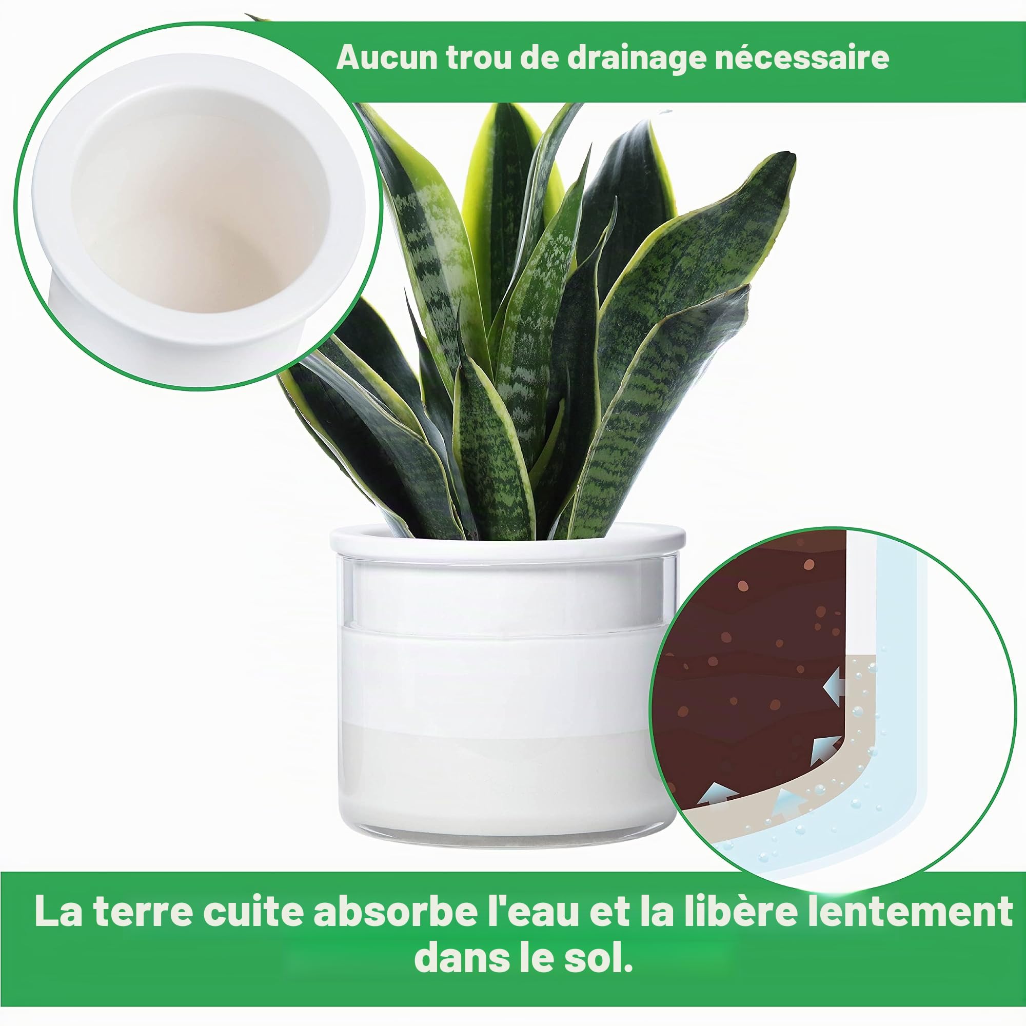 Phoenix Vine Pots de Fleurs de 15,2 cm et 10,2 cm à arrosage Automatique, Pots en Terre Cuite Blanche Design pour Plantes, Pots cylindriques d'intérieur en Terre Cuite avec Ensemble de vases en Verre