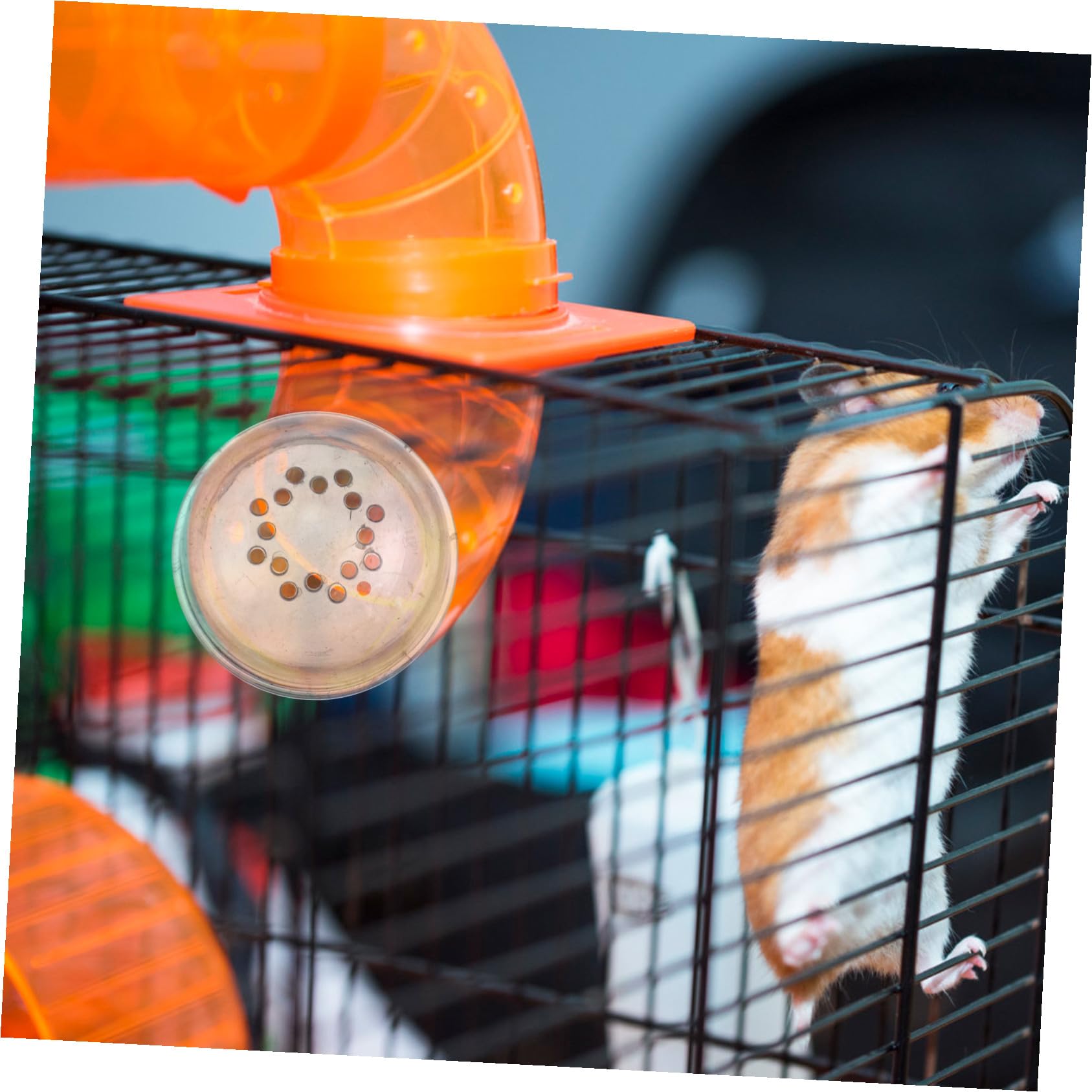 Käfigstopfen für Hamster mit Außenanschluss Kunststoff