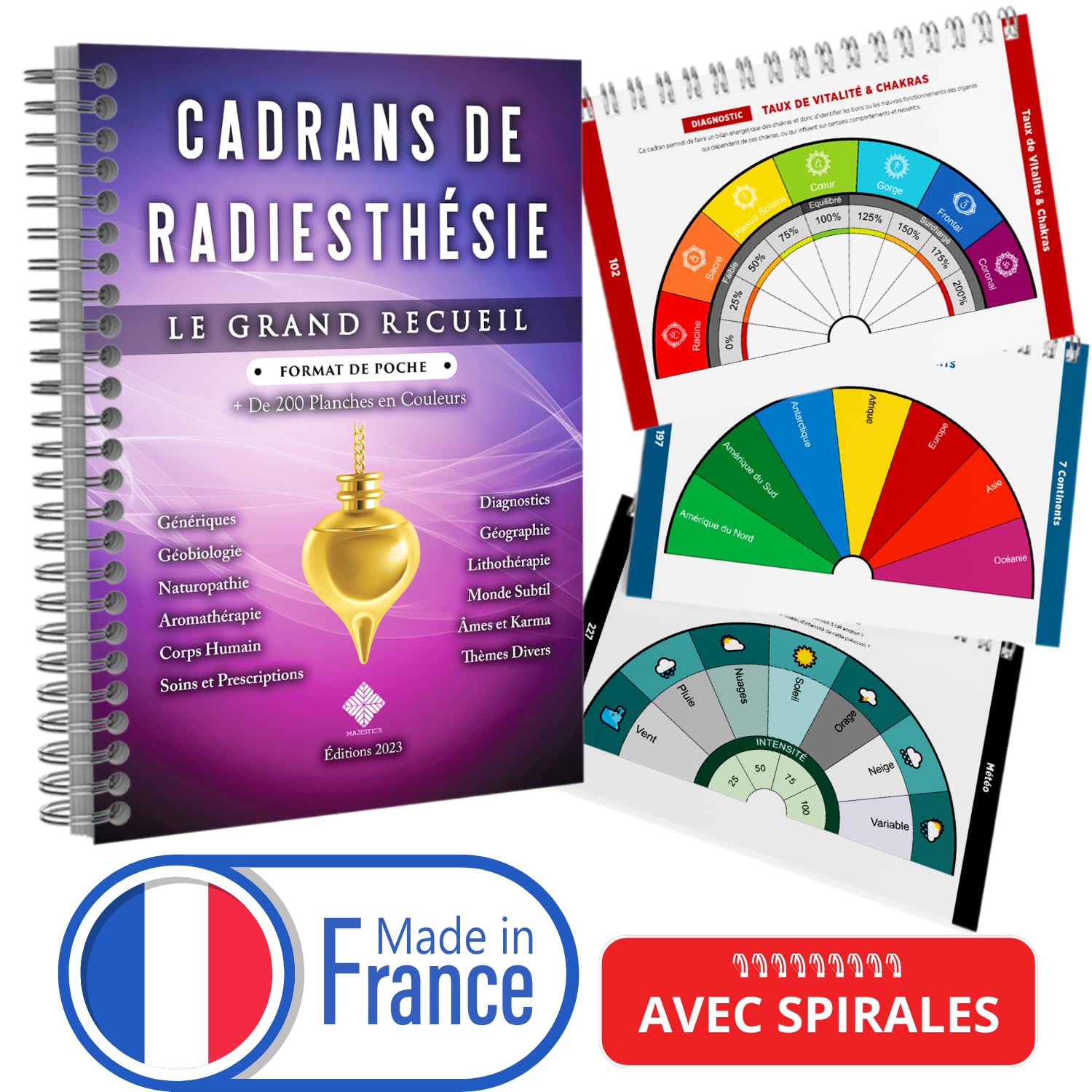 Pratique de la radiesthésie : Müller, H