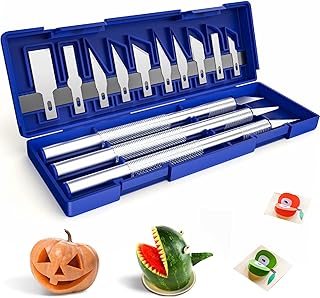 16 Piece Precision Craft Hobby Knife Kit, Utility Art Exacto Knife Sets, Sharp Razor Knives Tool for Carving, Architecture Modeling, Scrapbooking, Sculpture, Wood Working-Stencil, DIY Art Work Cutting